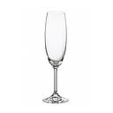 Martina Crystalline 220 Ml Champagne Glass 6 Pk