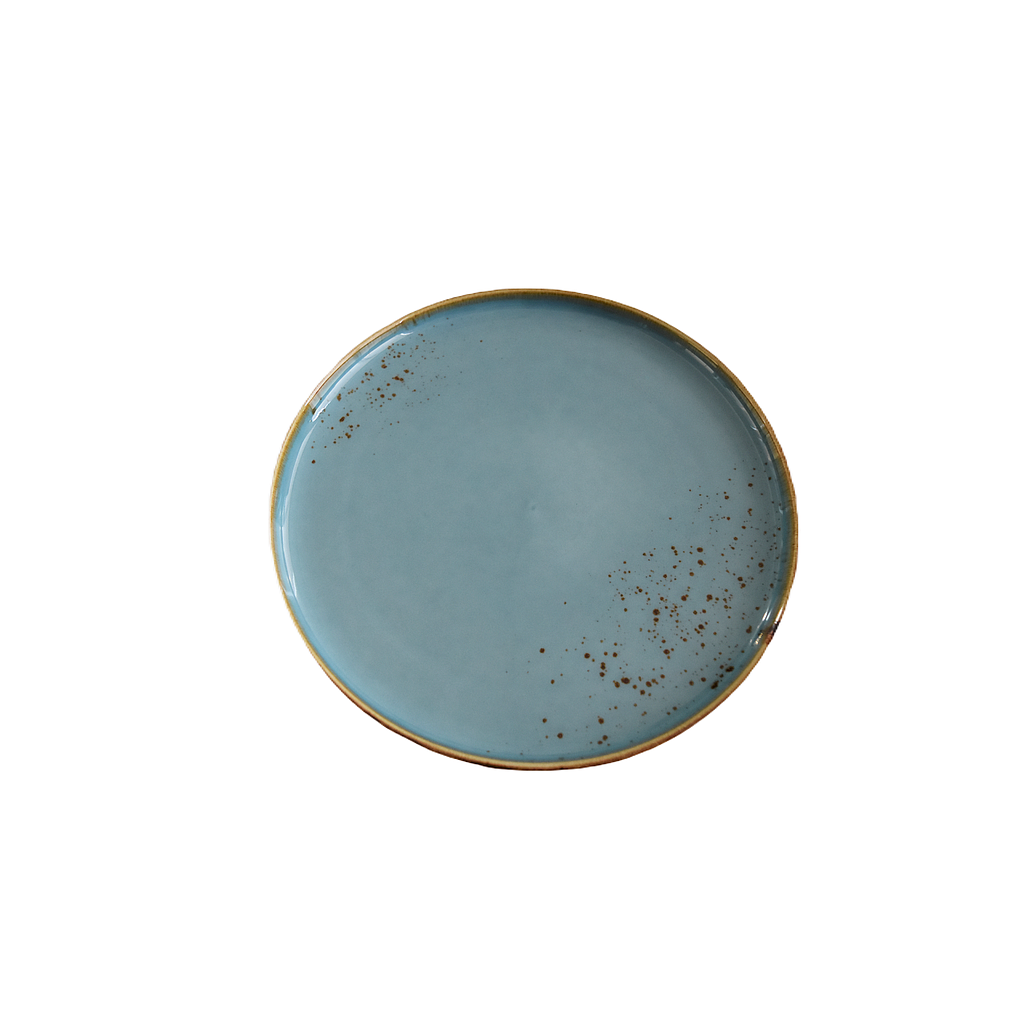 &quot;Terra&quot; 9.25&quot; Round Plate Dap-Blue