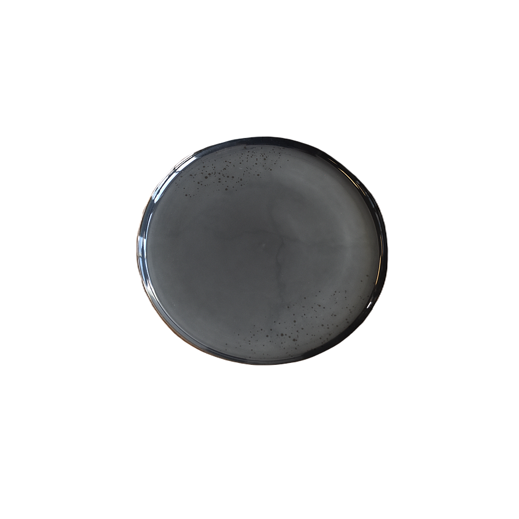 "Terra" 9.5" Round Plate Dap-Royal