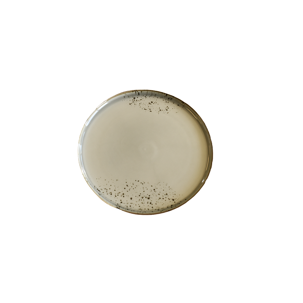 &quot;Terra&quot; Assiette Ronde 9.5'' Dap-Grise
